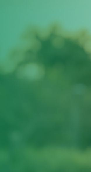 banner meio
